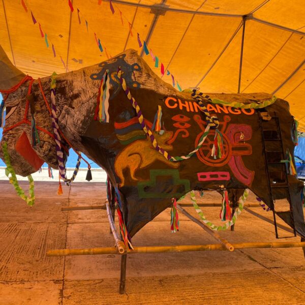 El corazón de la Mixteca late en la distancia: Doce años&hellip;